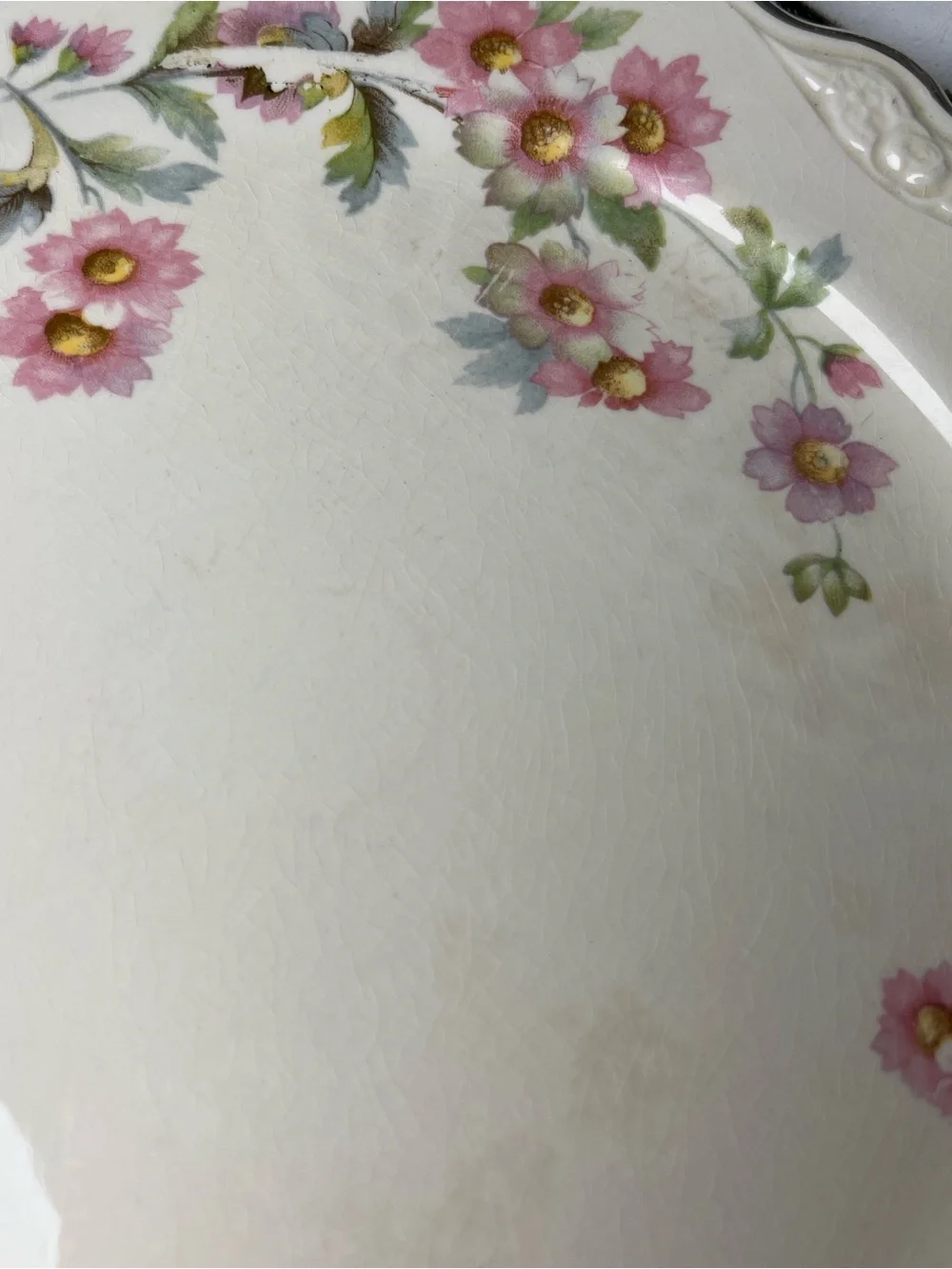 Homer Laughlin Virginia Rose JJ59 Dinner Plate Platinum Trim